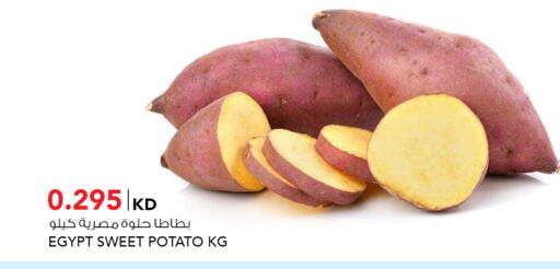 Sweet Potato from Egypt available at النصر هايبر ماركت in الكويت - محافظة الأحمدي