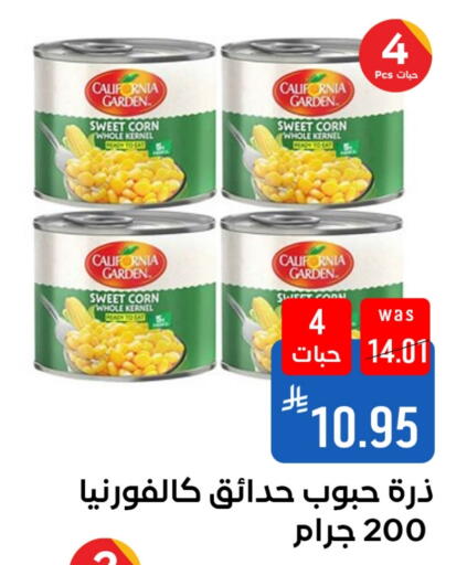 available at شبرا الطائف in مملكة العربية السعودية, السعودية, سعودية - الطائف