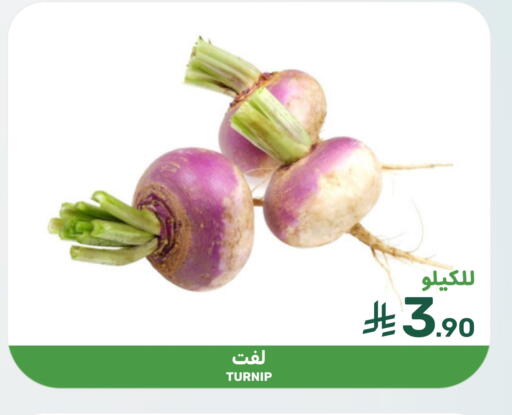 Turnip available at Mazaya in KSA, Saudi Arabia, Saudi - Saihat