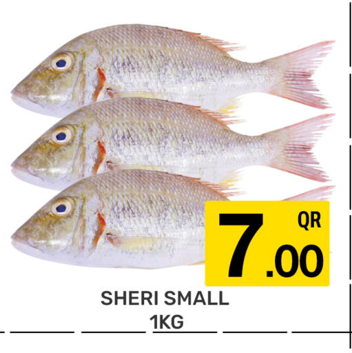 available at Majlis Hypermarket in Qatar - Al Rayyan