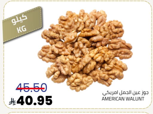 available at أسواق أسترا in مملكة العربية السعودية, السعودية, سعودية - تبوك