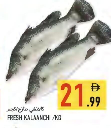 available at  روابي ماركت عجمان in الإمارات العربية المتحدة , الامارات - الشارقة / عجمان