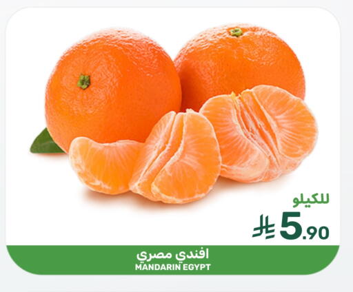 Mandarin from Egypt available at Mazaya in KSA, Saudi Arabia, Saudi - Qatif