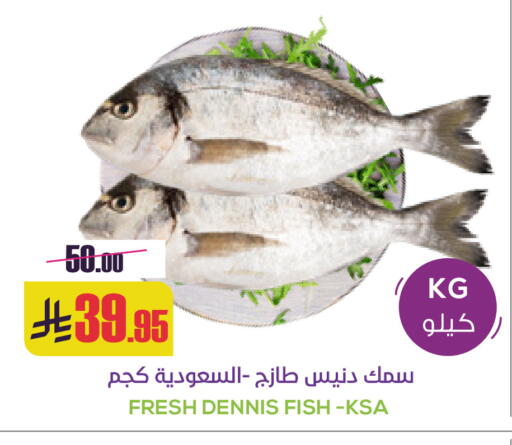 available at Sapt in KSA, Saudi Arabia, Saudi - Buraidah