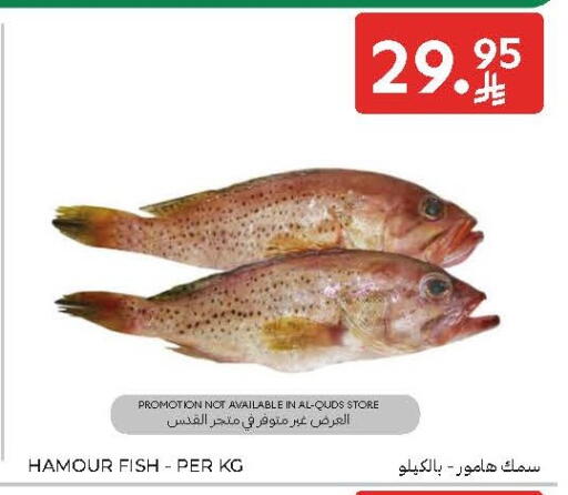 available at Carrefour in KSA, Saudi Arabia, Saudi - Sakaka