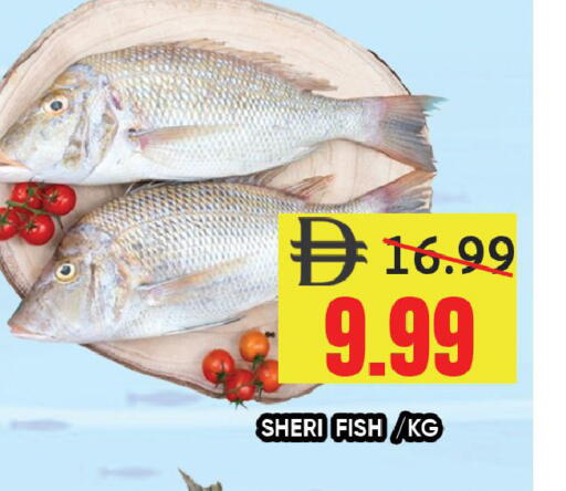 available at Leptis Hypermarket  in UAE - Ras al Khaimah