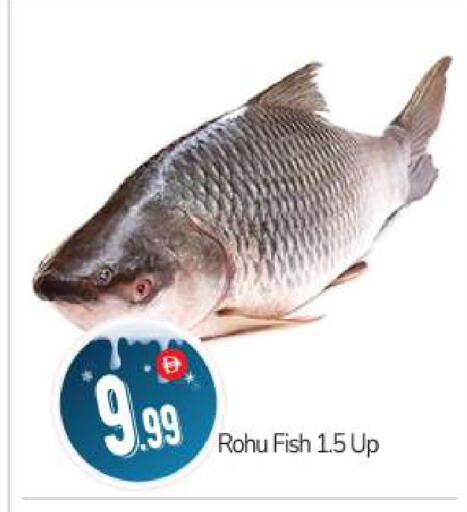 available at BIGmart in UAE - Abu Dhabi