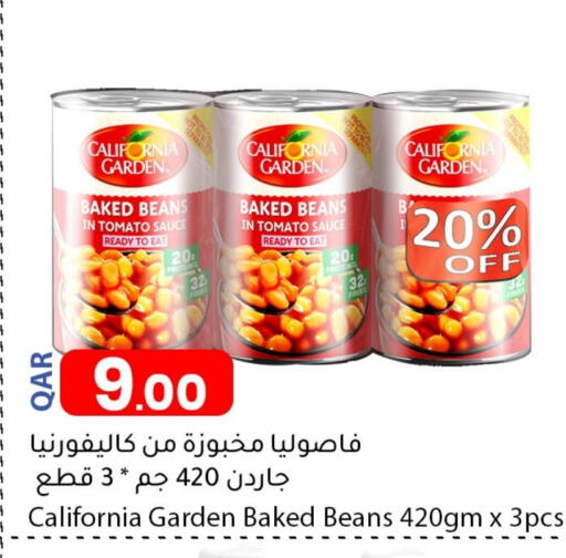 Tomato available at Dana Market in Qatar - Al Daayen