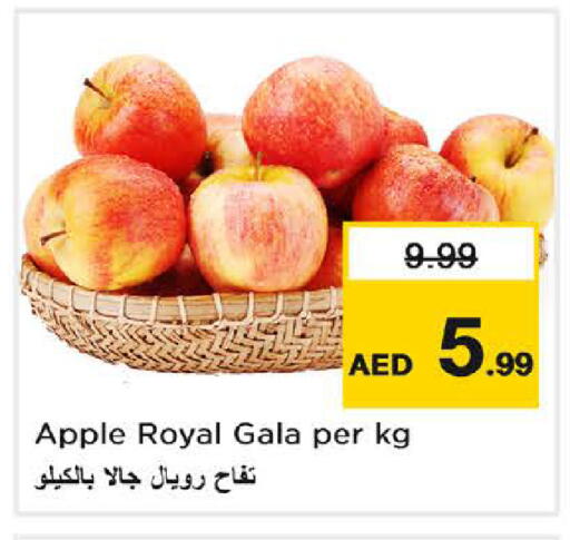 Apple available at نستو هايبرماركت in الإمارات العربية المتحدة , الامارات - الشارقة / عجمان
