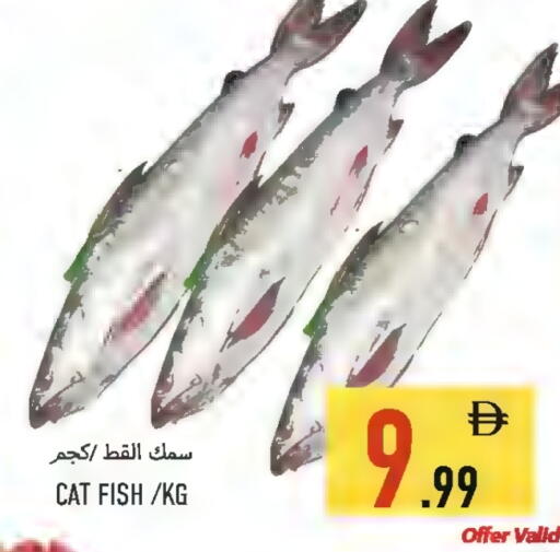 available at  روابي ماركت عجمان in الإمارات العربية المتحدة , الامارات - الشارقة / عجمان