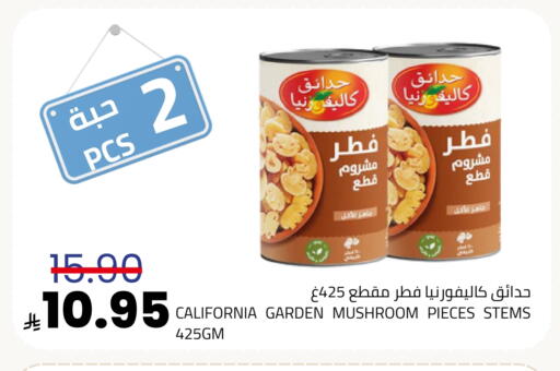Mushroom available at أسواق أسترا in مملكة العربية السعودية, السعودية, سعودية - تبوك