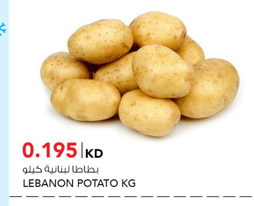 Potato from Lebanon available at النصر هايبر ماركت in الكويت - محافظة الأحمدي