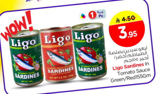 Tomato available at نستو in مملكة العربية السعودية, السعودية, سعودية - الرياض