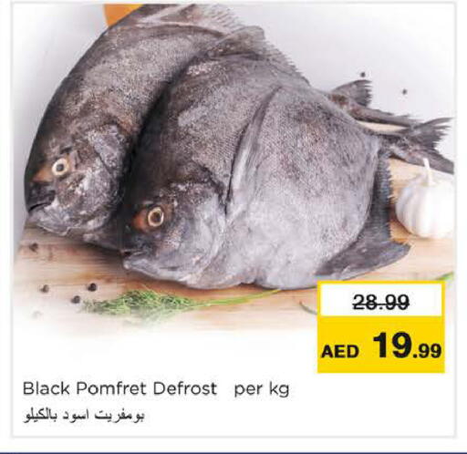 available at Nesto Hypermarket in UAE - Ras al Khaimah