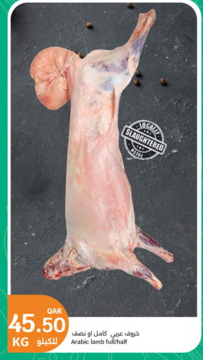 available at سيتي هايبرماركت in قطر - الضعاين