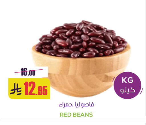 available at Sapt in KSA, Saudi Arabia, Saudi - Buraidah