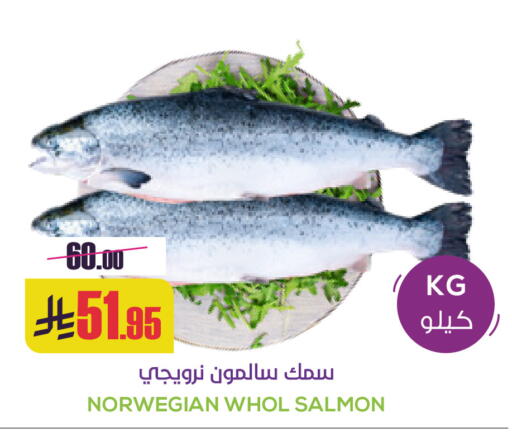 available at Sapt in KSA, Saudi Arabia, Saudi - Buraidah