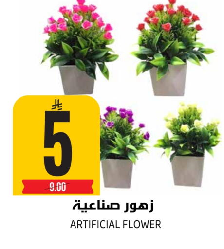 available at Grand Hyper in KSA, Saudi Arabia, Saudi - Riyadh