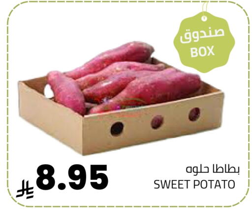 Sweet Potato available at أسواق أسترا in مملكة العربية السعودية, السعودية, سعودية - تبوك