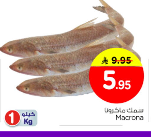 available at Nesto in KSA, Saudi Arabia, Saudi - Riyadh