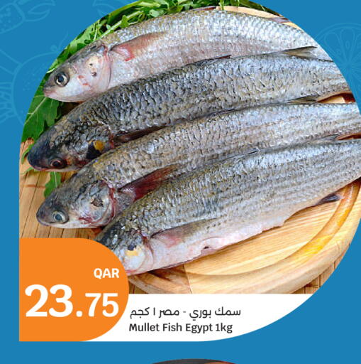 available at City Hypermarket in Qatar - Umm Salal