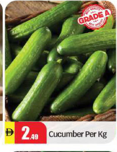 Cucumber available at بيج مارت in الإمارات العربية المتحدة , الامارات - أبو ظبي
