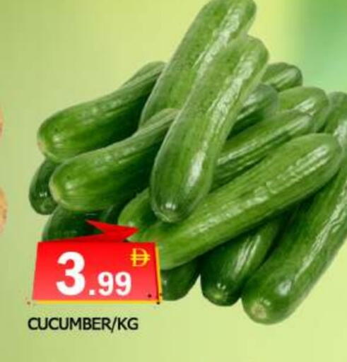 Cucumber available at المدينة in الإمارات العربية المتحدة , الامارات - الشارقة / عجمان