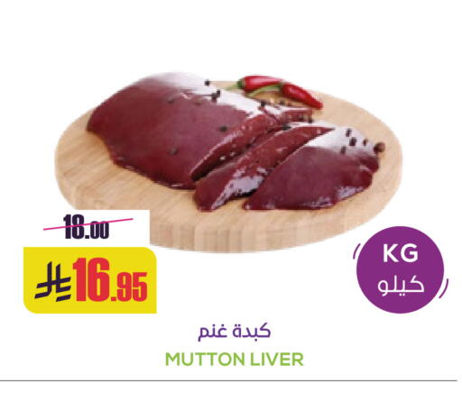 available at سبت in مملكة العربية السعودية, السعودية, سعودية - بريدة