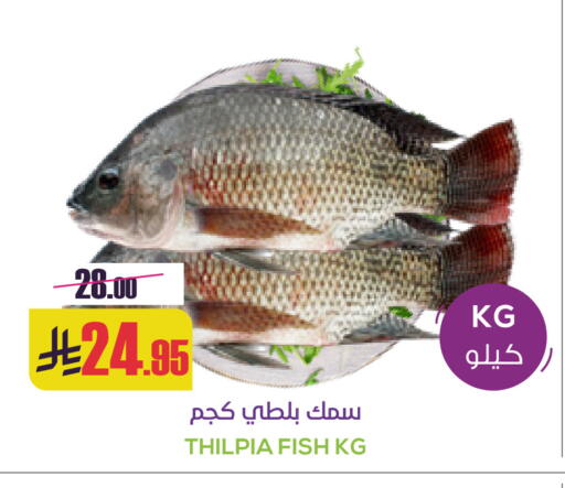 available at Sapt in KSA, Saudi Arabia, Saudi - Buraidah