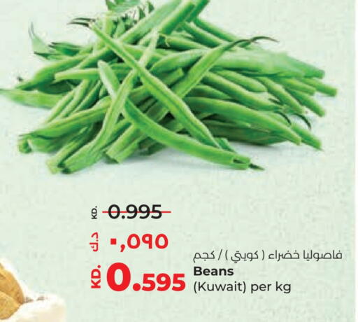 from Kuwait available at Lulu Hypermarket  in Kuwait - Kuwait City