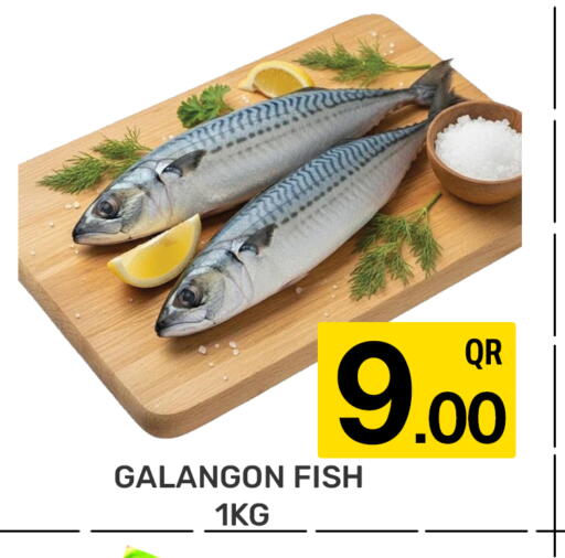 available at مجلس هايبرماركت in قطر - الريان