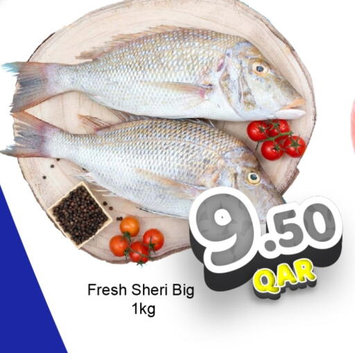 available at جي-ماكس هايبرماركت in قطر - الريان