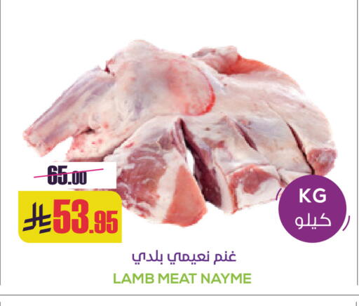 available at سبت in مملكة العربية السعودية, السعودية, سعودية - بريدة