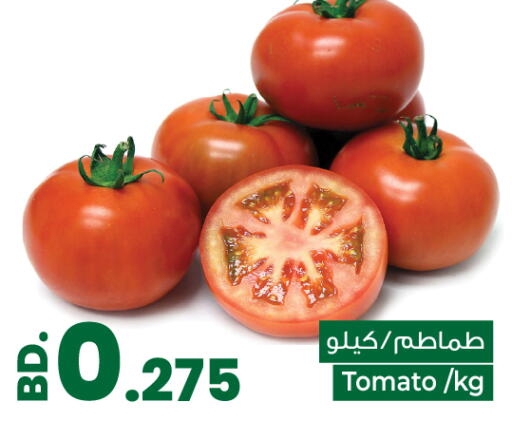 Tomato from Bahrain available at بحرين برايد in البحرين