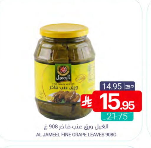 available at Muntazah Markets in KSA, Saudi Arabia, Saudi - Qatif