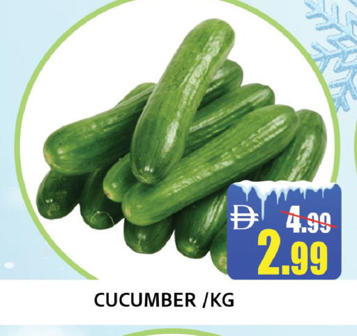 Cucumber available at ليبتس هايبرماركت in الإمارات العربية المتحدة , الامارات - رَأْس ٱلْخَيْمَة