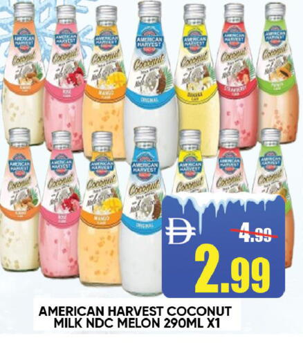 Coconut Melon available at ليبتس هايبرماركت in الإمارات العربية المتحدة , الامارات - رَأْس ٱلْخَيْمَة