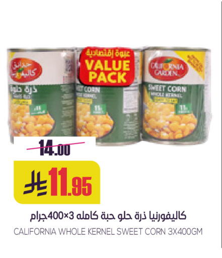 available at Sapt in KSA, Saudi Arabia, Saudi - Buraidah
