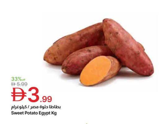 Sweet Potato from Egypt available at Emirates Co-Operative Society in UAE - Dubai