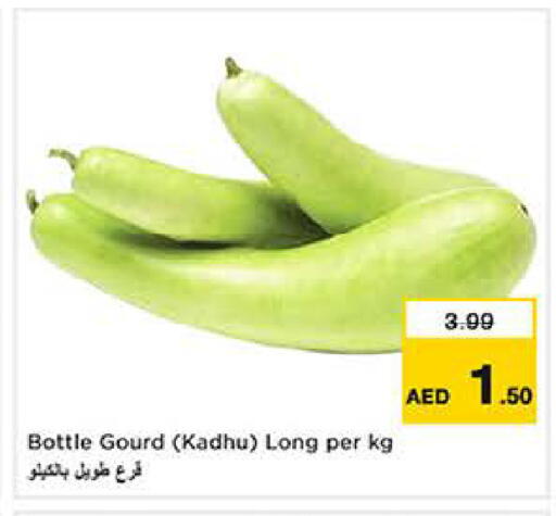available at لاست تشانس in الإمارات العربية المتحدة , الامارات - ٱلْفُجَيْرَة‎