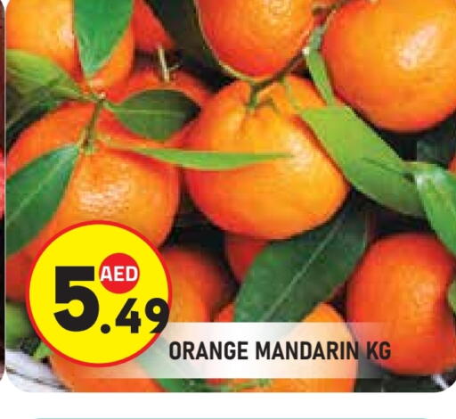 Orange Mandarin available at سنابل بني ياس in الإمارات العربية المتحدة , الامارات - أبو ظبي