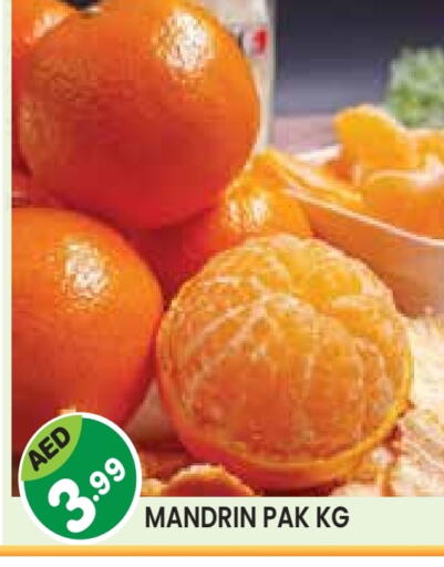 available at سنابل بني ياس in الإمارات العربية المتحدة , الامارات - أم القيوين‎