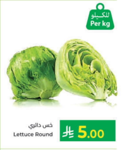 Lettuce available at كبايان هايبرماركت in مملكة العربية السعودية, السعودية, سعودية - ينبع