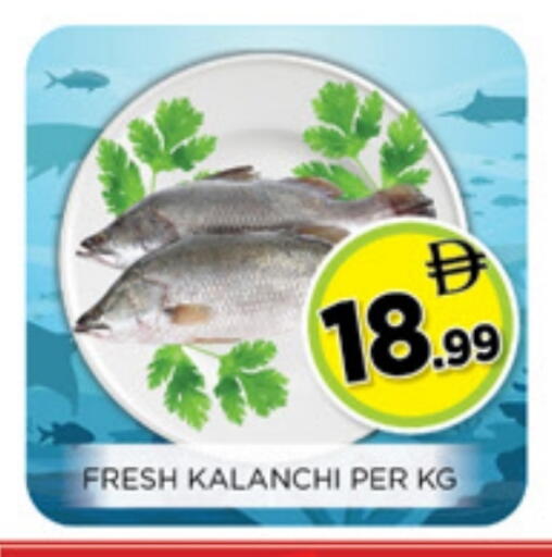 available at Ainas Al madina hypermarket in UAE - Sharjah / Ajman