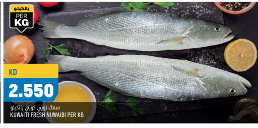 available at أونكوست in الكويت - محافظة الجهراء