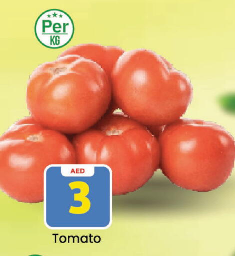 Tomato available at مارك & سيف in الإمارات العربية المتحدة , الامارات - الشارقة / عجمان