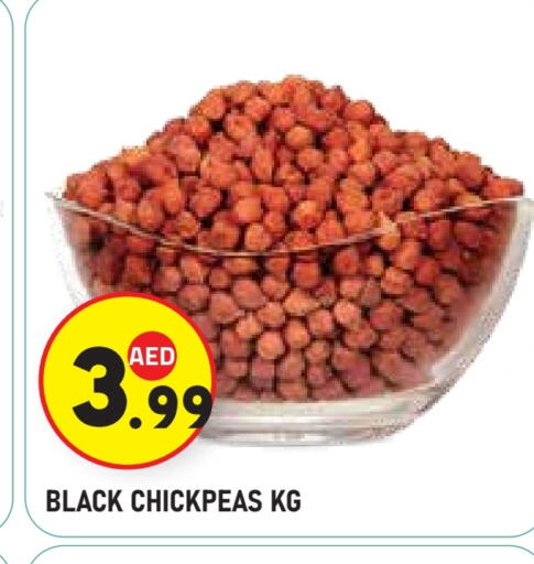 available at سنابل بني ياس in الإمارات العربية المتحدة , الامارات - ٱلْعَيْن‎