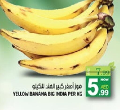 Banana from India available at هاشم هايبرماركت in الإمارات العربية المتحدة , الامارات - الشارقة / عجمان