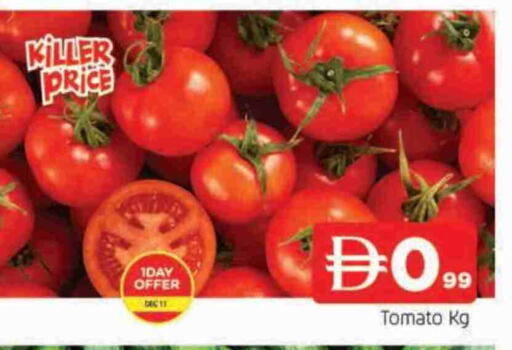 Tomato available at المدينة in الإمارات العربية المتحدة , الامارات - الشارقة / عجمان