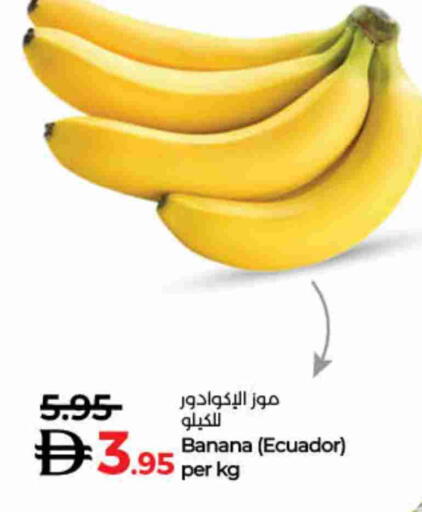 Banana from Ecuador available at Lulu Hypermarket in UAE - Dubai